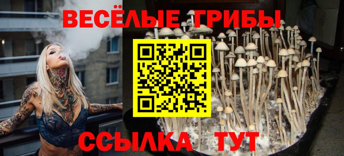 Галлюциногенные грибы мухоморы Севастополь