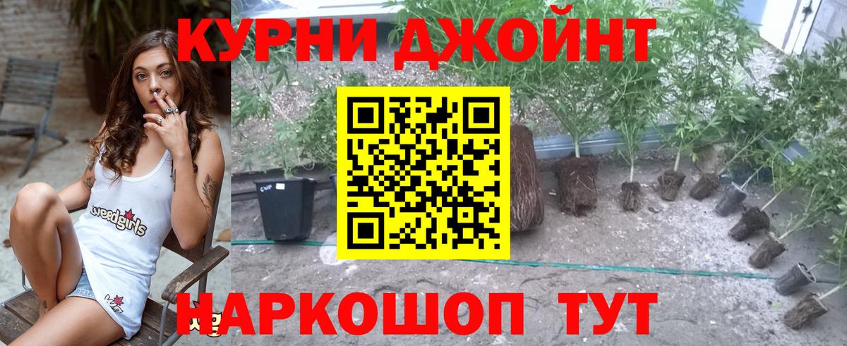 Бошки Шишки план  Бошки Шишки тримм  Конопля тримм  Марихуана Amnesia  Вход с VPN  Севастополь 